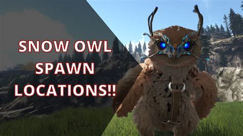 Ark fjordur snow owl. Things To Know About Ark fjordur snow owl. 